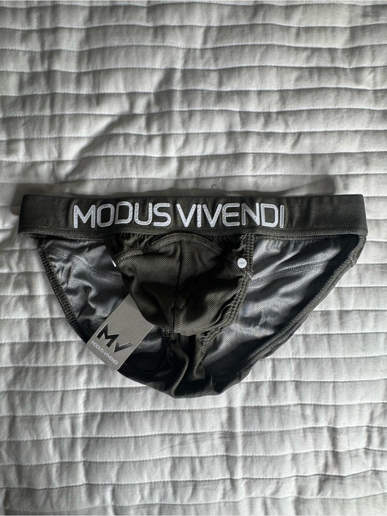 Modus Vivendi Other - MODUS VIVENDI Men's Performance Briefs with Branded Waistband
